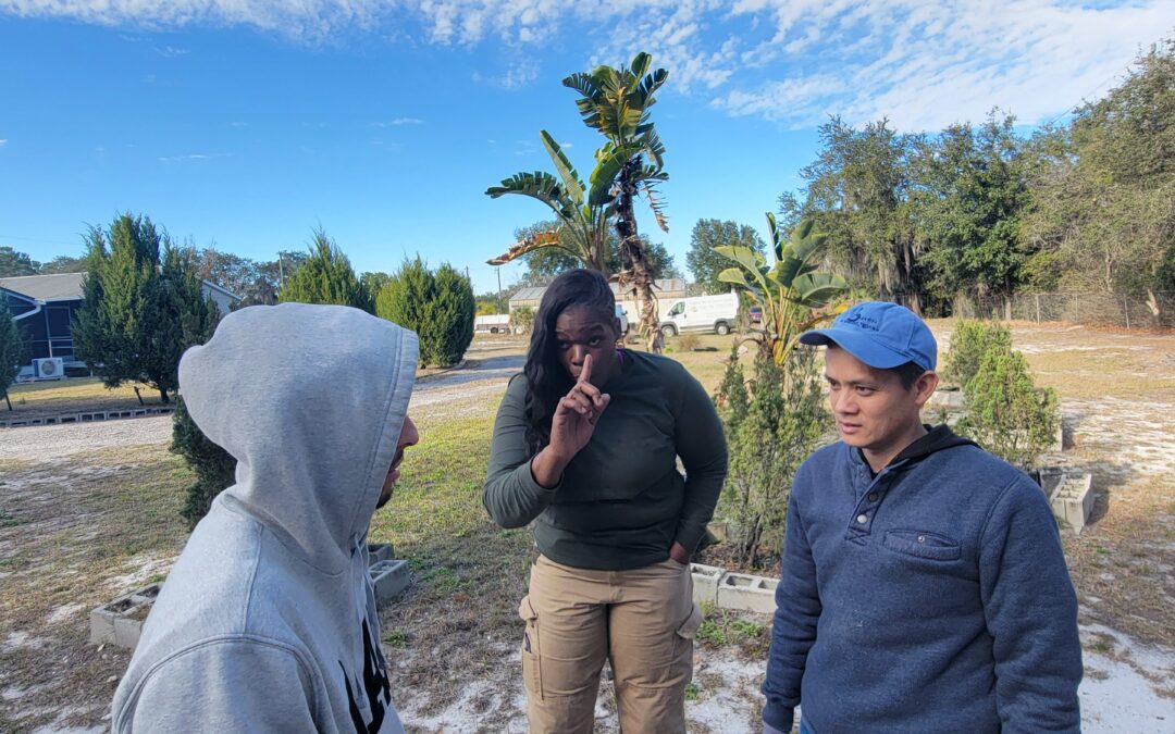 HACTA: System Swap Progress